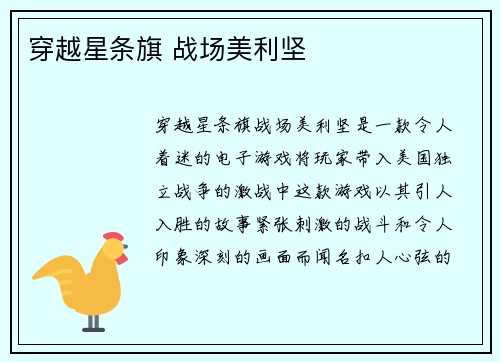 穿越星条旗 战场美利坚